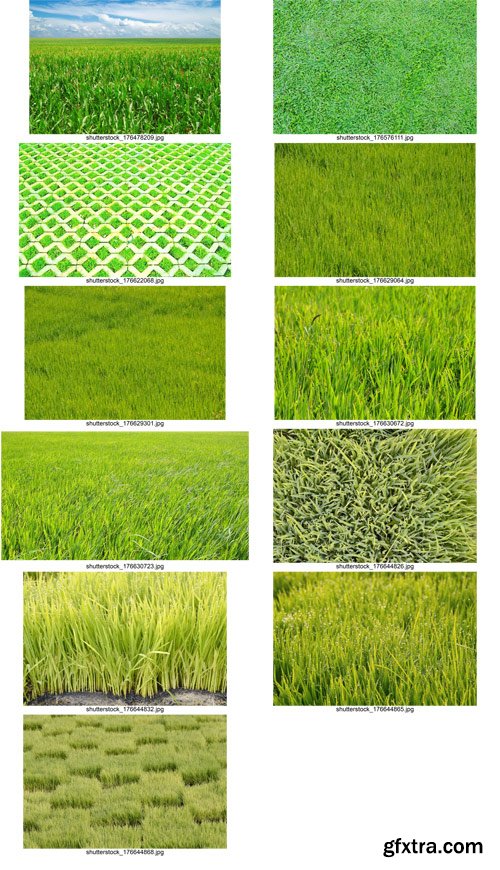 Shutterstock - Grass, 25xJpg