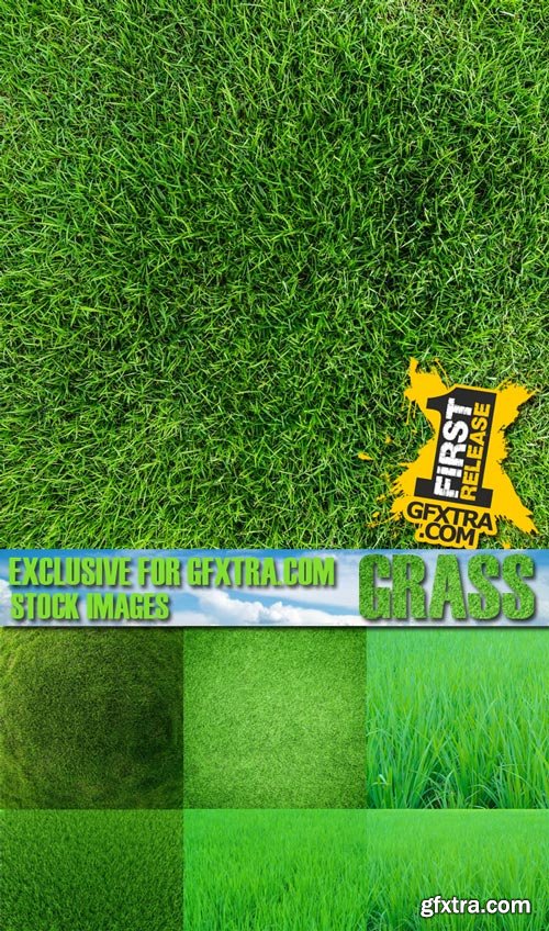 Shutterstock - Grass, 25xJpg