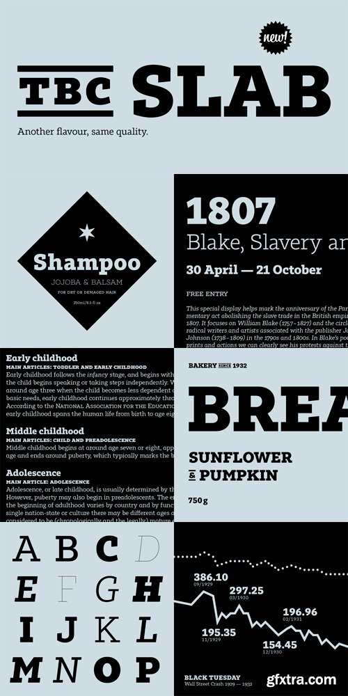 Tabac Slab Font Family - 16 Fonts for $400