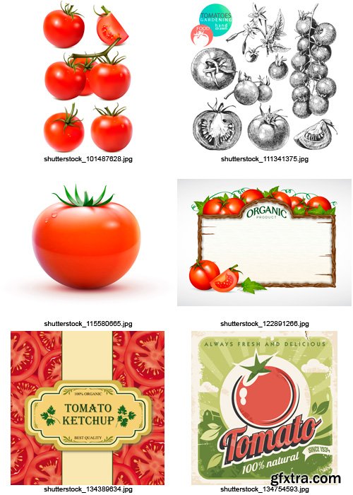 Amazing SS - Tomato & Ketchup, 25xEPS