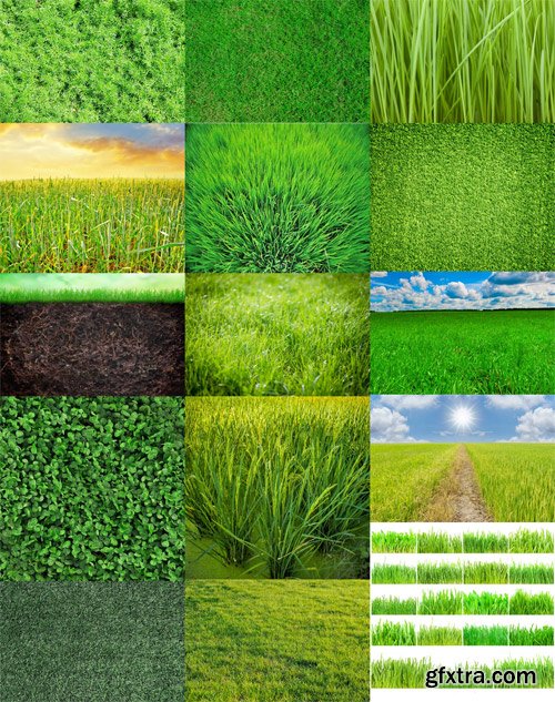 Shutterstock - Grass 2, 25xJpg