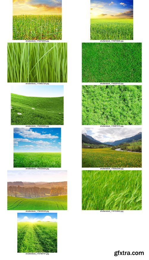 Shutterstock - Grass 2, 25xJpg