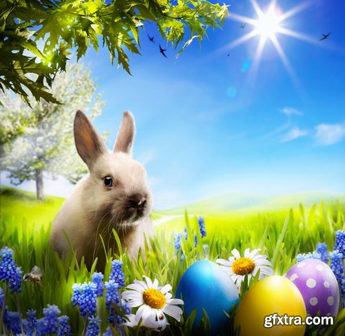 Amazing SS - Easter background 2, 25xJPGs