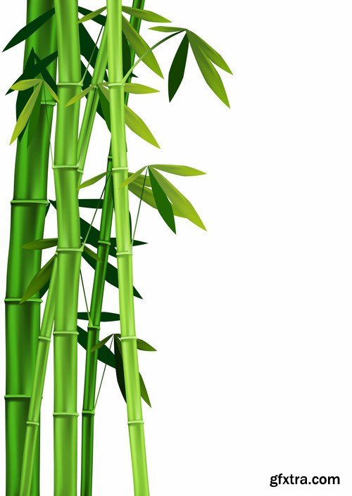 Bamboo Collection - 25x JPEGs