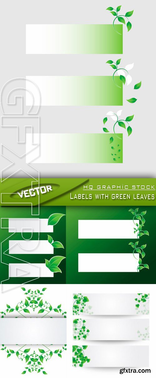 Stock Vector - Labels with green leaves