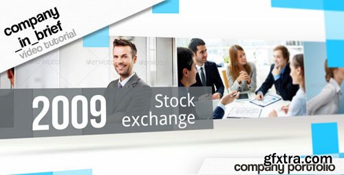 Videohive - Company in Brief 6265239