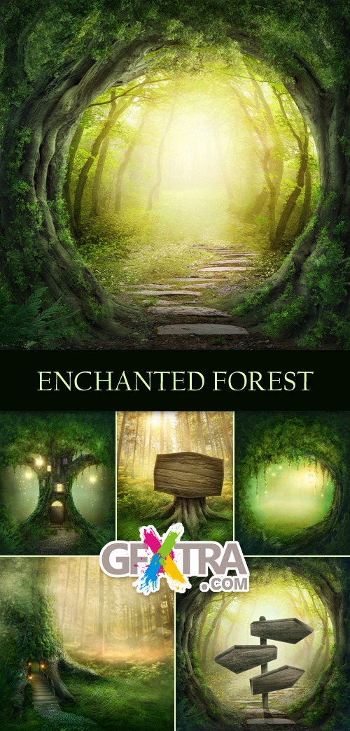 Stock Photo - Enchanted Misty Forest