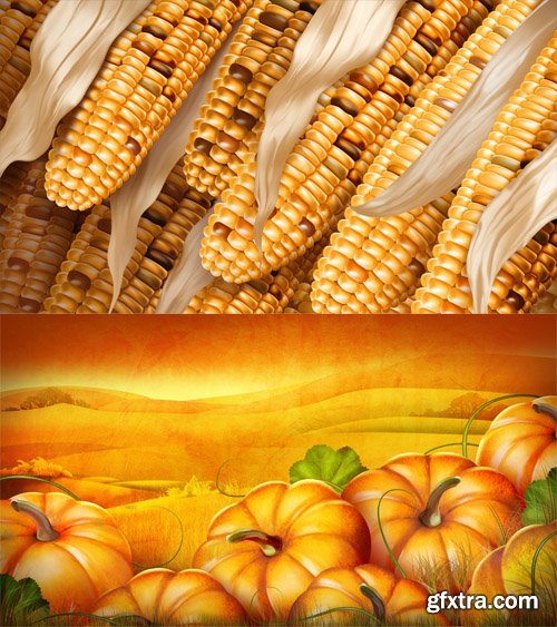 PSD Templates - Corn Rows and Pumpkin Patch