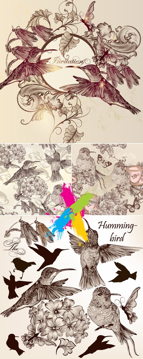 Hand Drawn Vintage Birds Backgrounds Vector