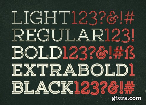 Yellow Design Studio's Gist Family - 20 fonts ( only $49! )