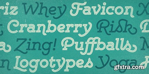 Yellow Design Studio's Gist Family - 20 fonts ( only $49! )