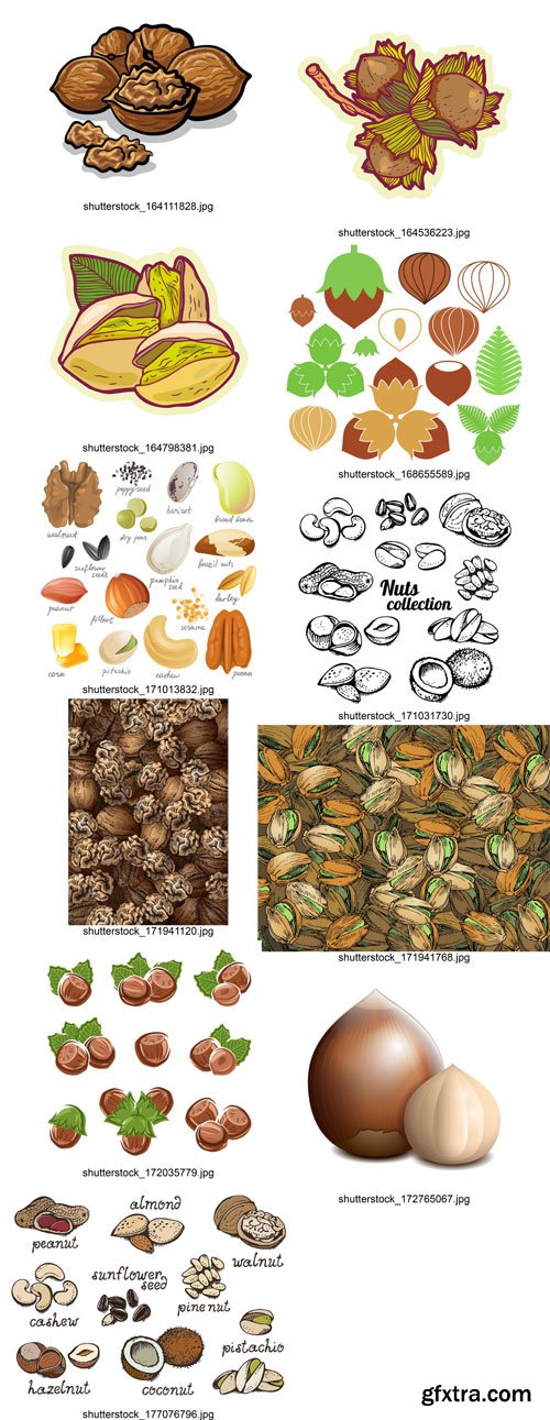 Shutterstock - Nuts Collection, 25xEps