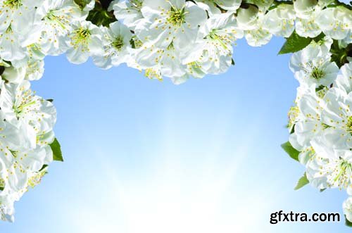 Spring blossom trees, 25xJPGs