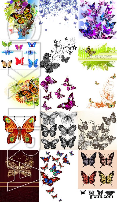 Shutterstock - Butterfly, 25xEps