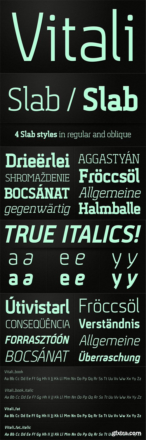 Vitali Font Family - 8 Fonts for $50