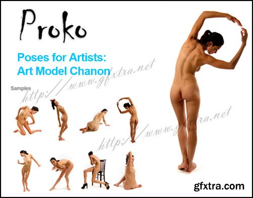 Proko - Poses For Artists: Aaron