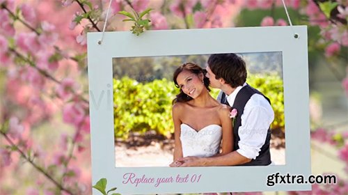 Videohive Photo Gallery and Cherry Blossoms 4698711