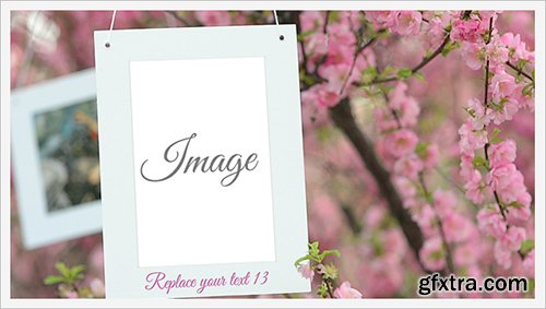 Videohive Photo Gallery and Cherry Blossoms 4698711