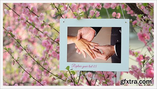 Videohive Photo Gallery and Cherry Blossoms 4698711