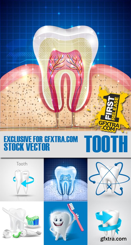 Shutterstock - Tooth and Teeth, 25xEps