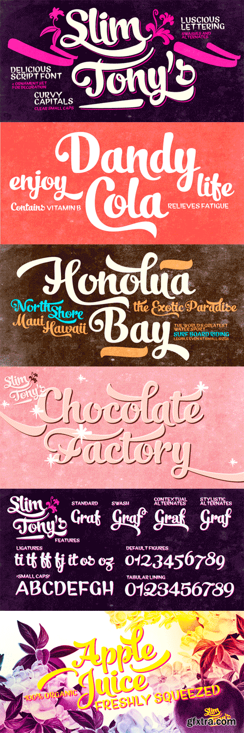 Slim Tony Font Family - 3 Fonts for $45