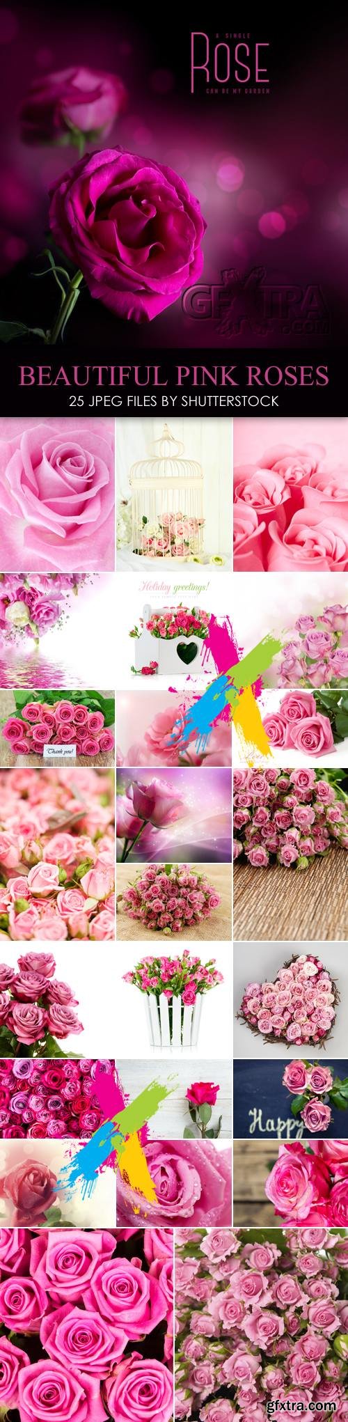 Stock Photo - Beautiful Pink Roses