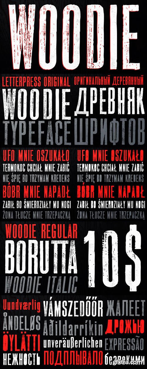 Woodie Font Family - 4 Fonts for $30