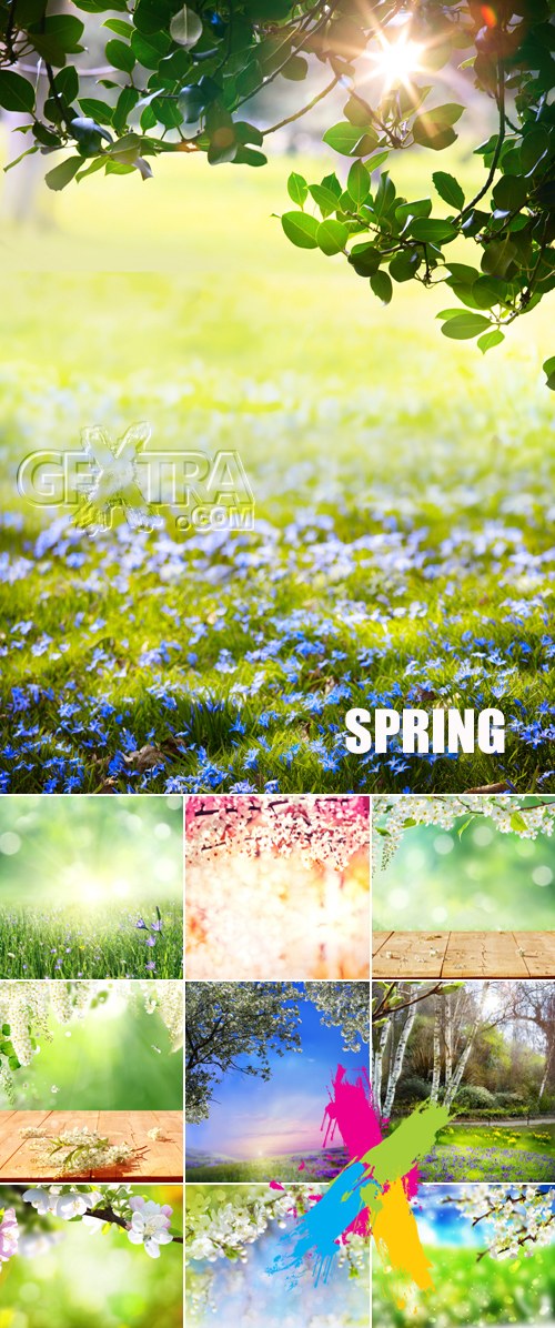 Stock Photo - Spring Nature Backgrounds