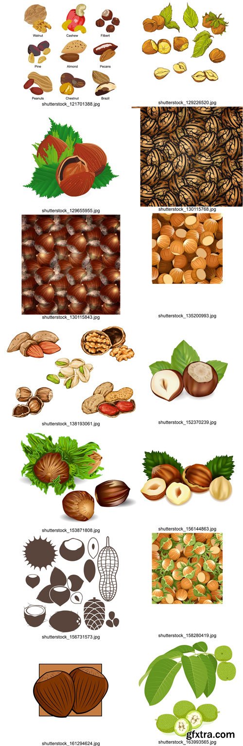 Shutterstock - Nuts Collection, 25xEps