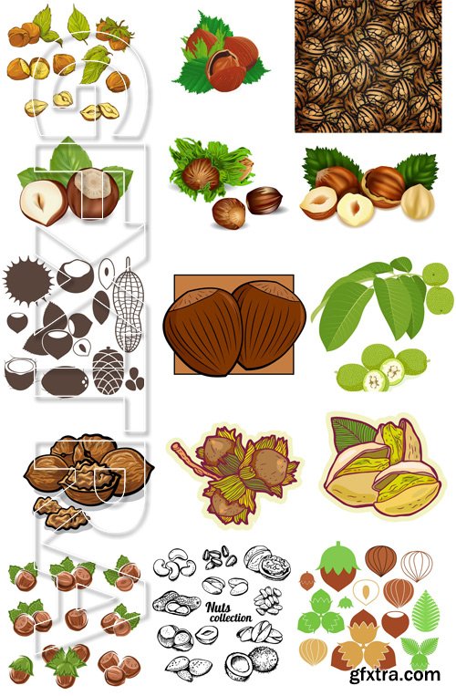 Shutterstock - Nuts Collection, 25xEps