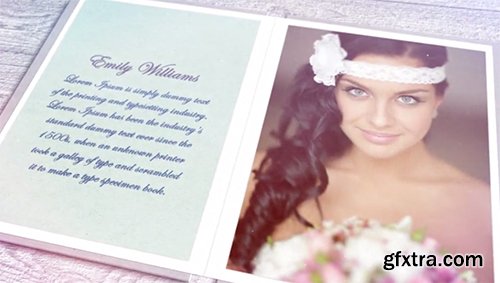 Videohive Wedding Moment! 6723921