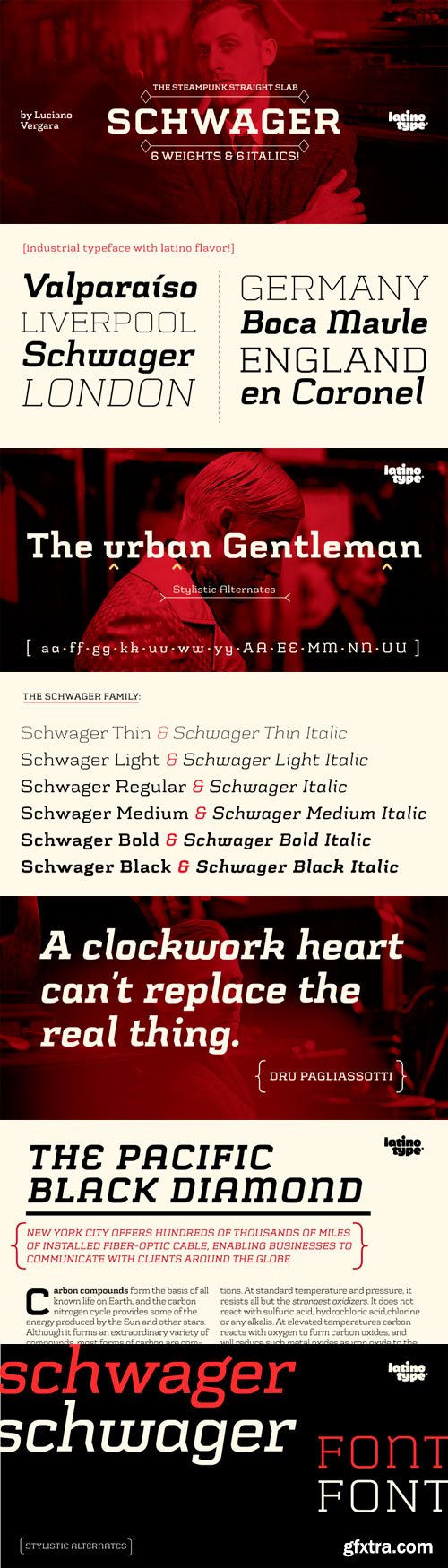 Schwager Font Family - 12 Fonts for $149