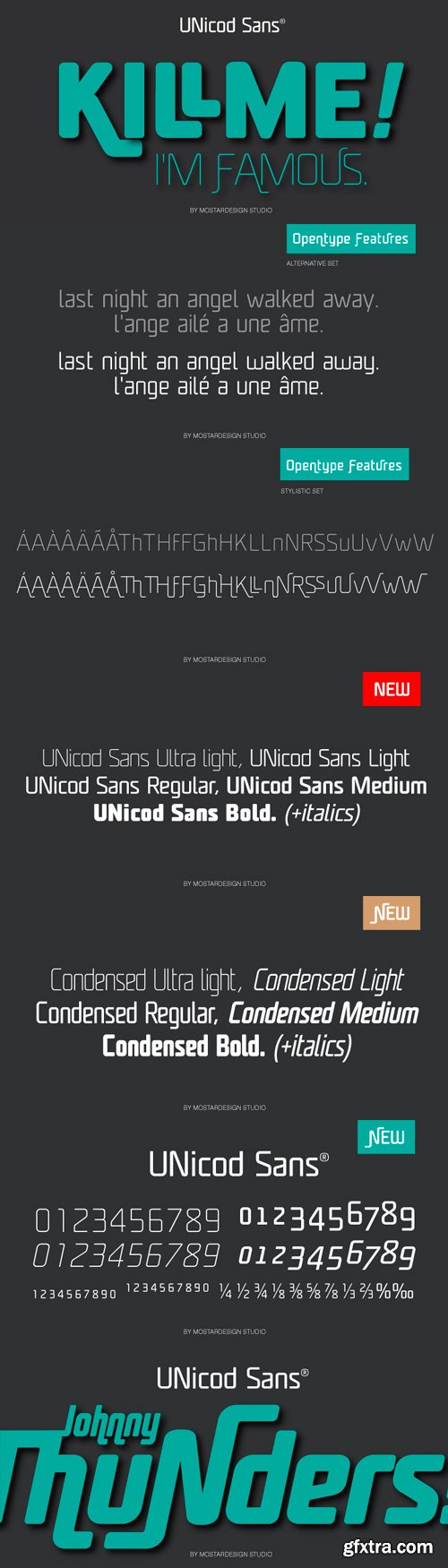 Unicod Sans Font Family - 18 Fonts for $299