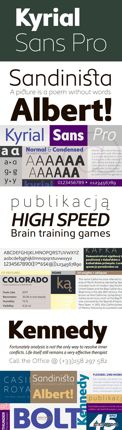 Kyrial Sans Pro Font Family - 12 Fonts (Incomplete Family) for $299