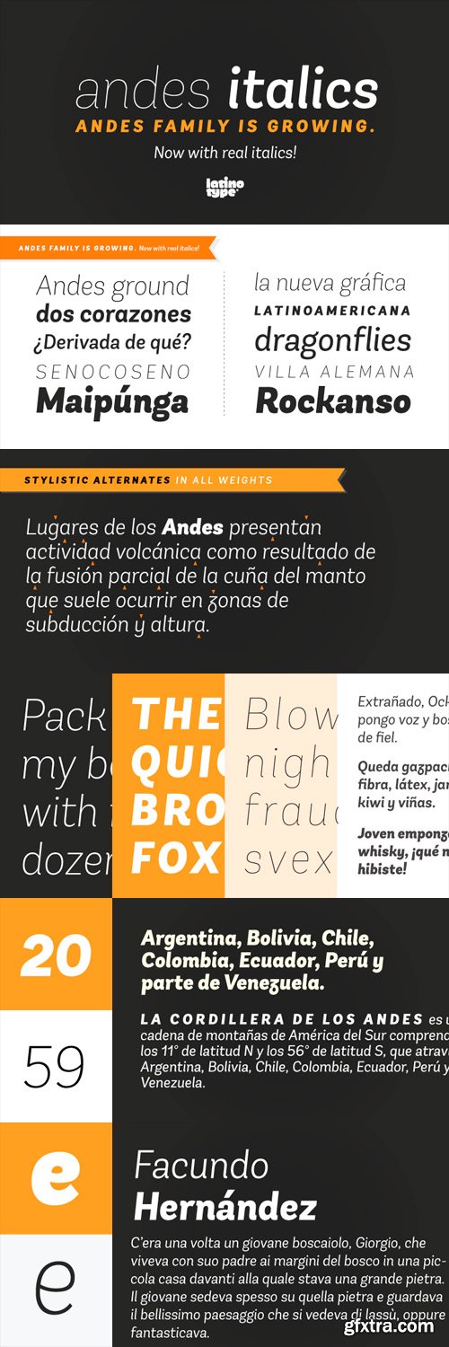 Andes Italic Font Family - 10 Fonts for $189