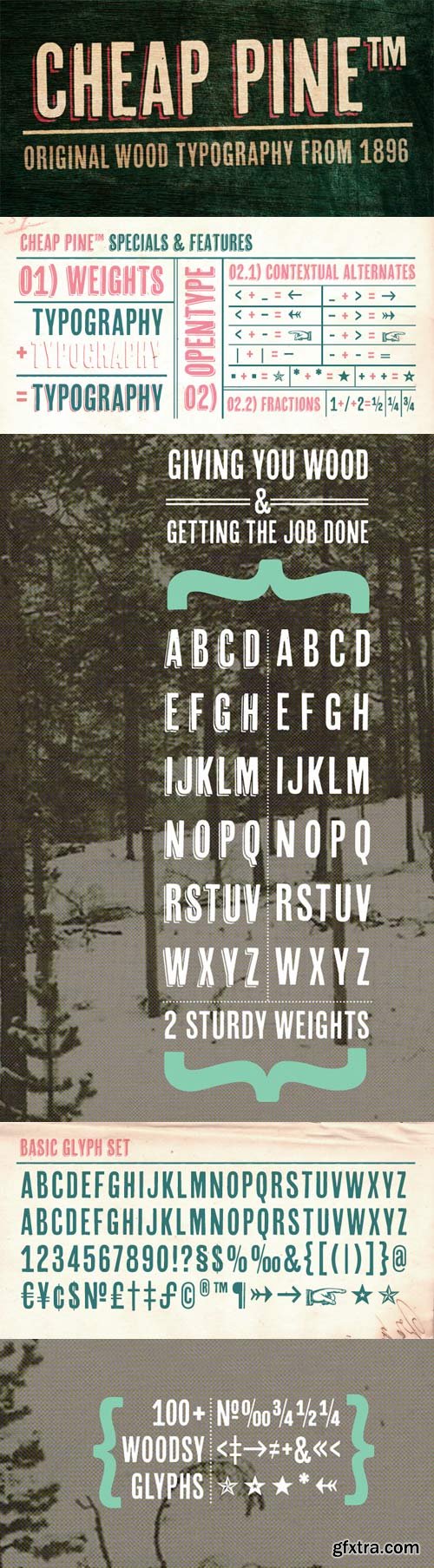 Cheap Pine Font Family - 3 Fonts for $35