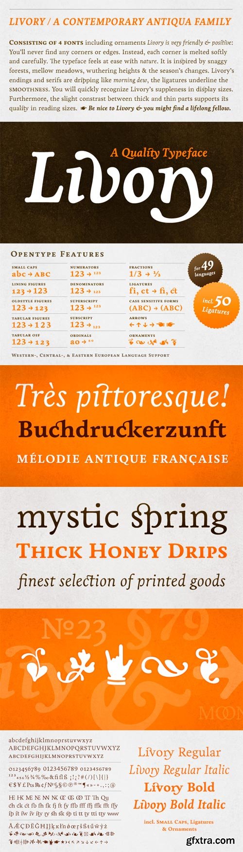 Livory Font Family - 4 Fonts for $129