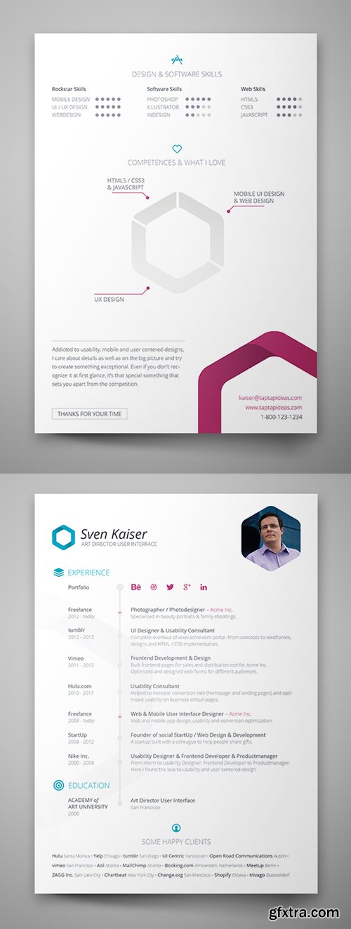 Hexagon Vita Resume Template Insesign