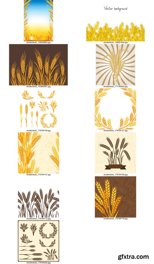 Stock Vectors - Wheat, 25xEps