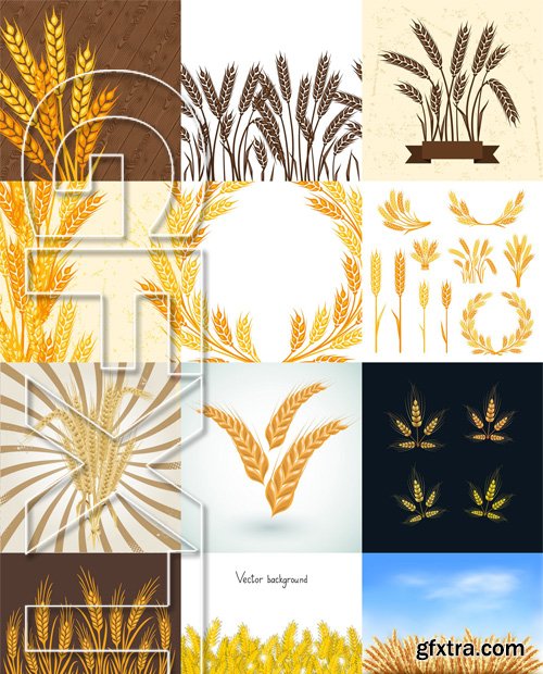 Stock Vectors - Wheat, 25xEps