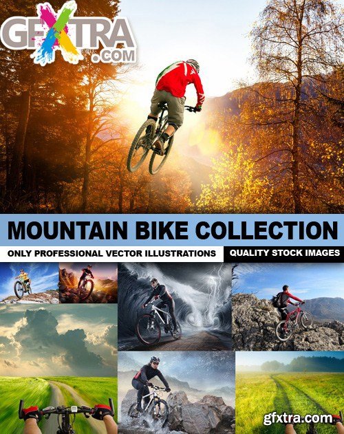 Mountain Bike Collection - 25 Vector