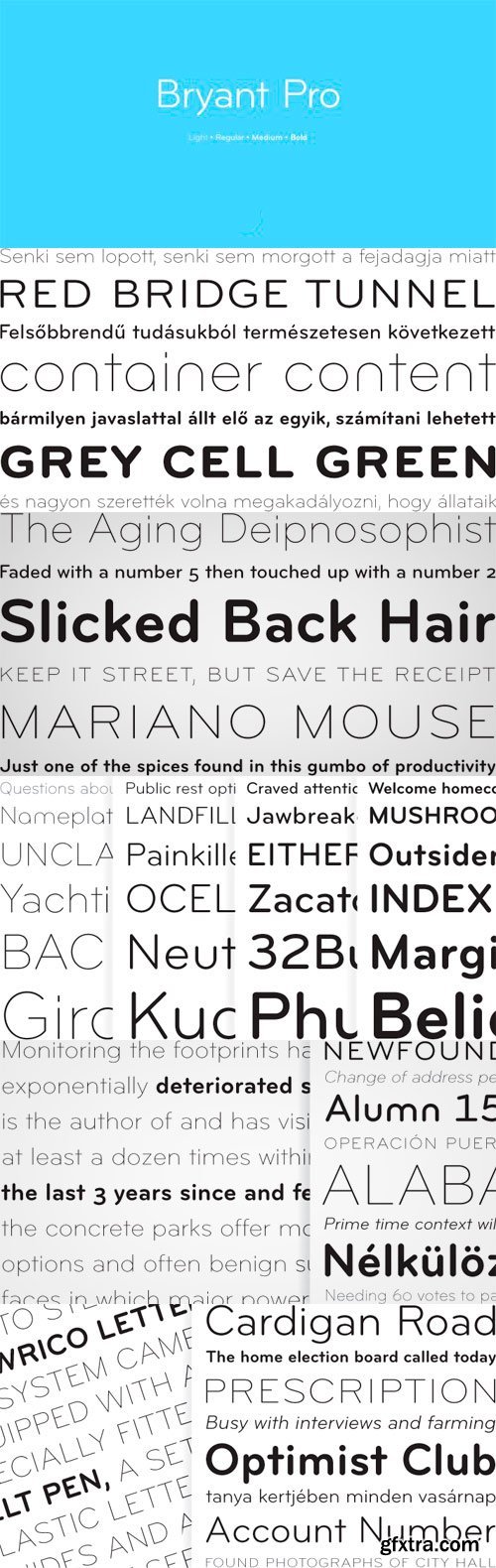 Bryant Pro Font Family - 12 Fonts for $275