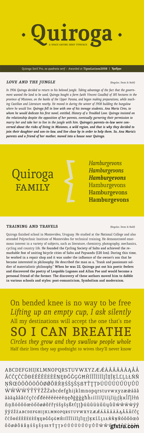 Quiroga Serif Pro Font Family - 6 Fonts for $150