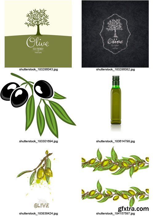 Amazing SS - Collections of Olive Elements 7, 25xEPS