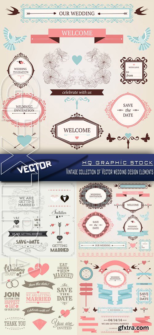 Stock Vector - Vintage collection of Vector wedding design elements