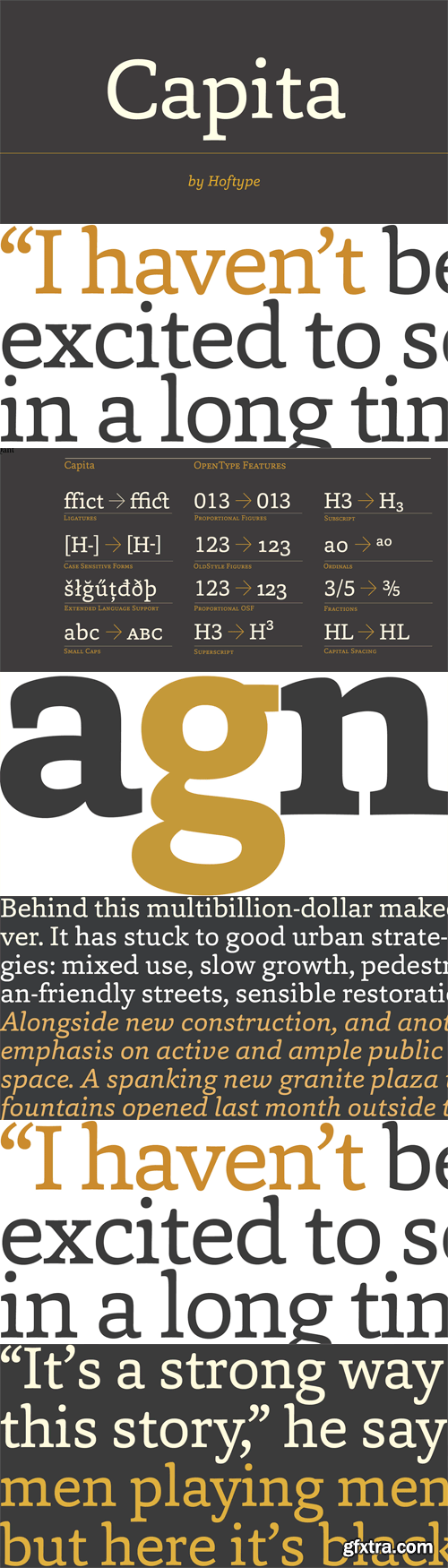 Capita Font Family - 12 Fonts for $198