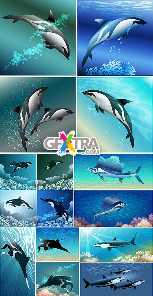 Sea animals on underwater backgrounds
