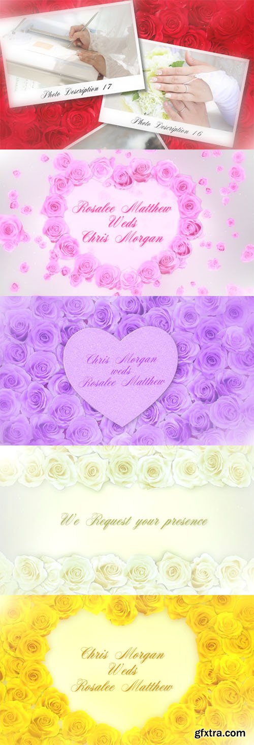 Videohive Wedding Roses 6812257