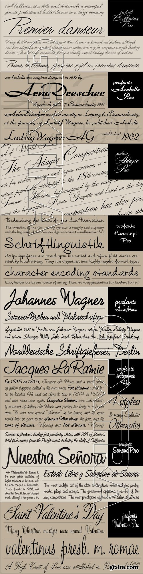 Profonts Script Fonts Collection 21xOTF $630