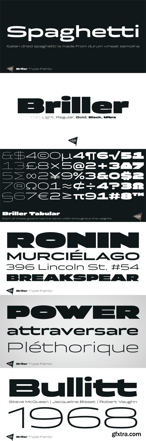 Briller Font Family - 6 Fonts for $42